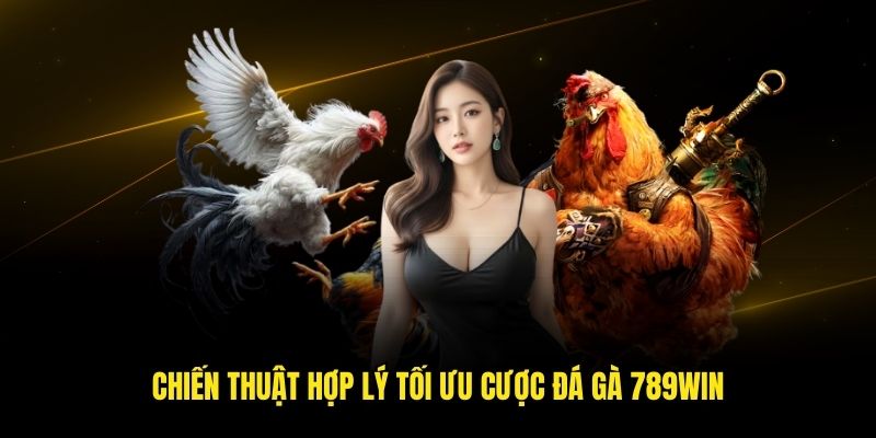Chiến thuật hợp lý tối ưu cược đá gà 789win