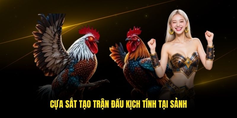 Cựa sắt tạo trận đấu kịch tính tại sảnh