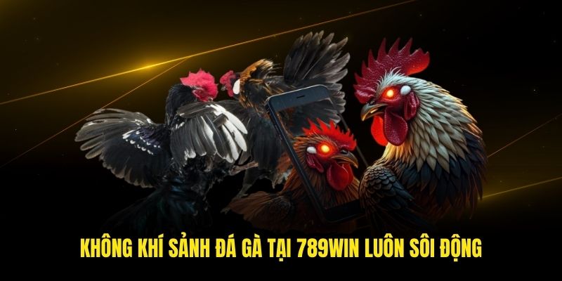 Không khí sảnh đá gà tại 789win luôn sôi động