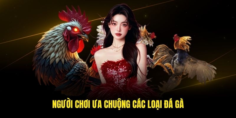 Người chơi ưa chuộng các loại đá gà